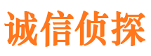 湖滨市婚外情调查